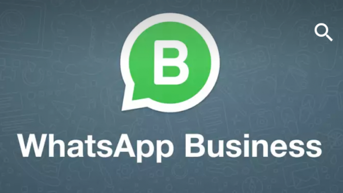 Everything That You Need to Know About WhatsApp Business