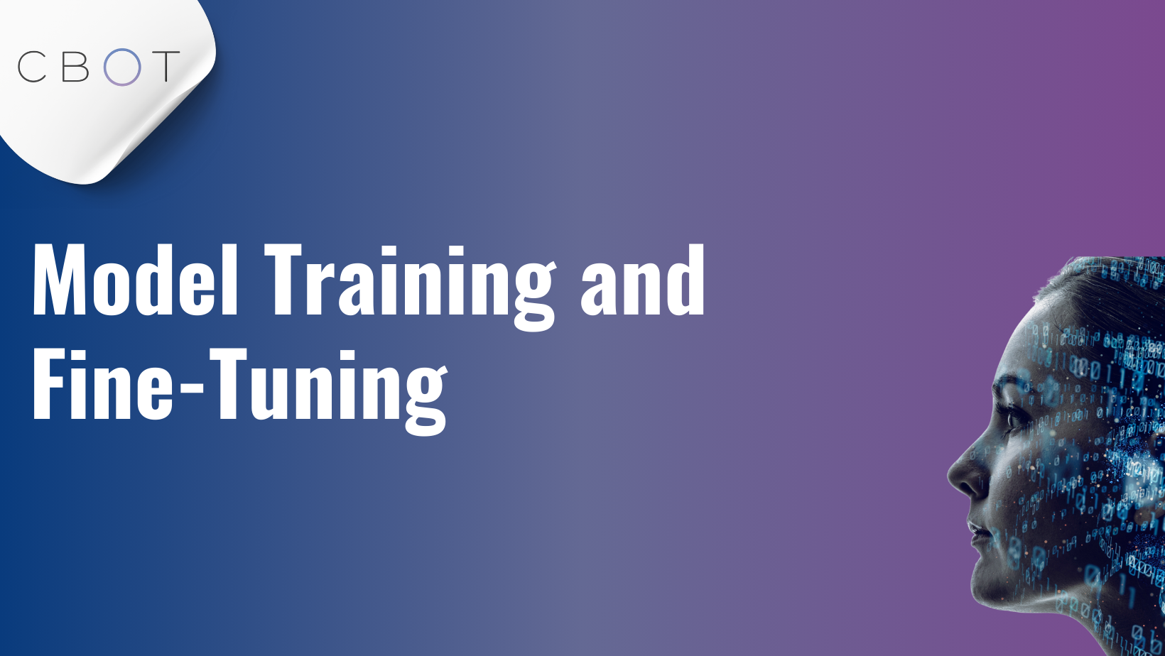 Model Training and Fine-Tuning